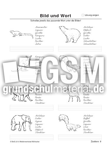 BuW Zootiere8.pdf